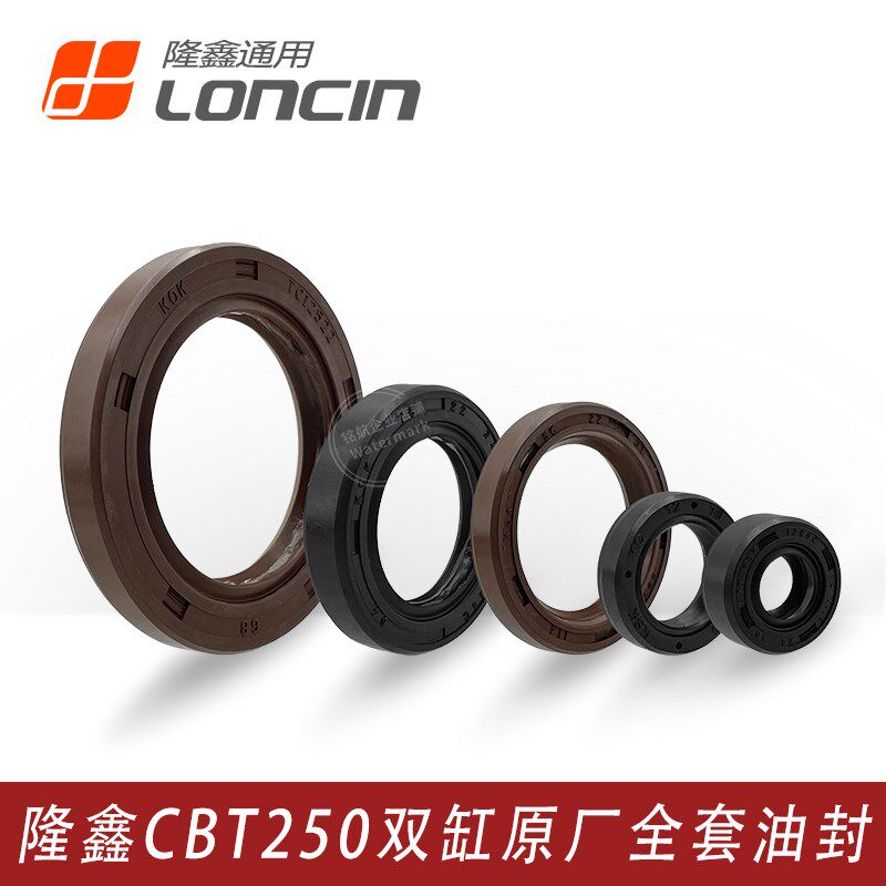 隆鑫CBT250双缸力帆CM250国威地平线新感觉CA250发动机全套油封