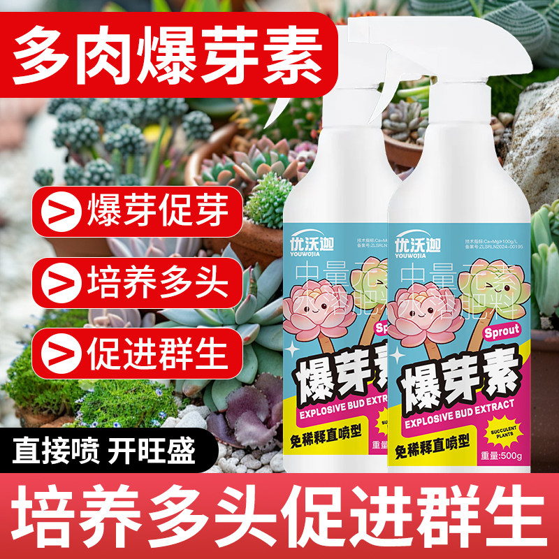 爆芽素多肉专用肥营养液植物肥料控释肥催芽优牙素增色矮胖优芽素