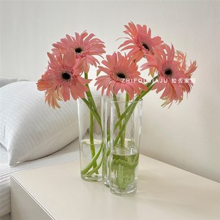 湖泊花瓶高级感水培绿植客厅餐桌摆件透明玻璃鲜花插花瓶不规则