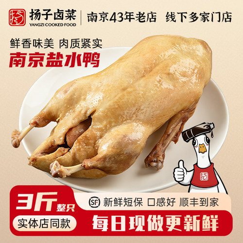 扬子南京盐水鸭整只即食礼盒