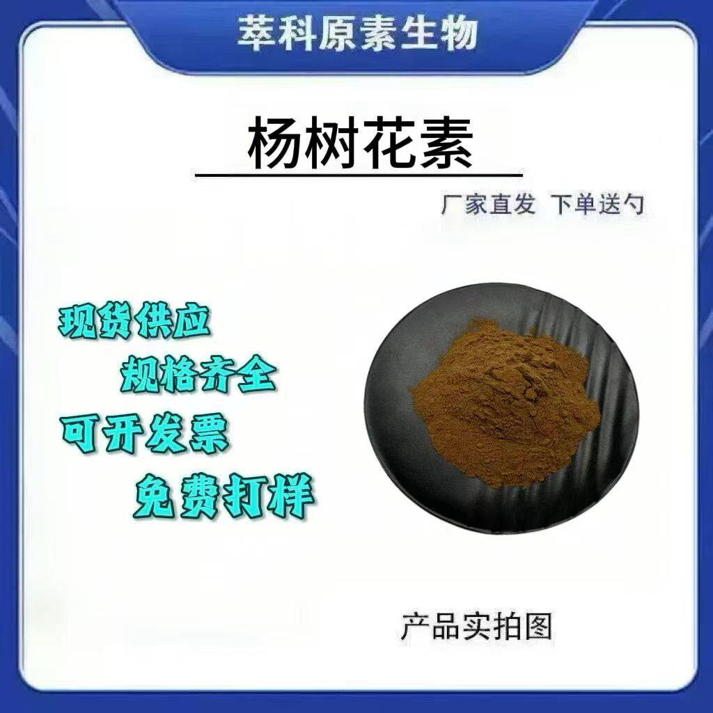 现货杨树花素95%V6提取物