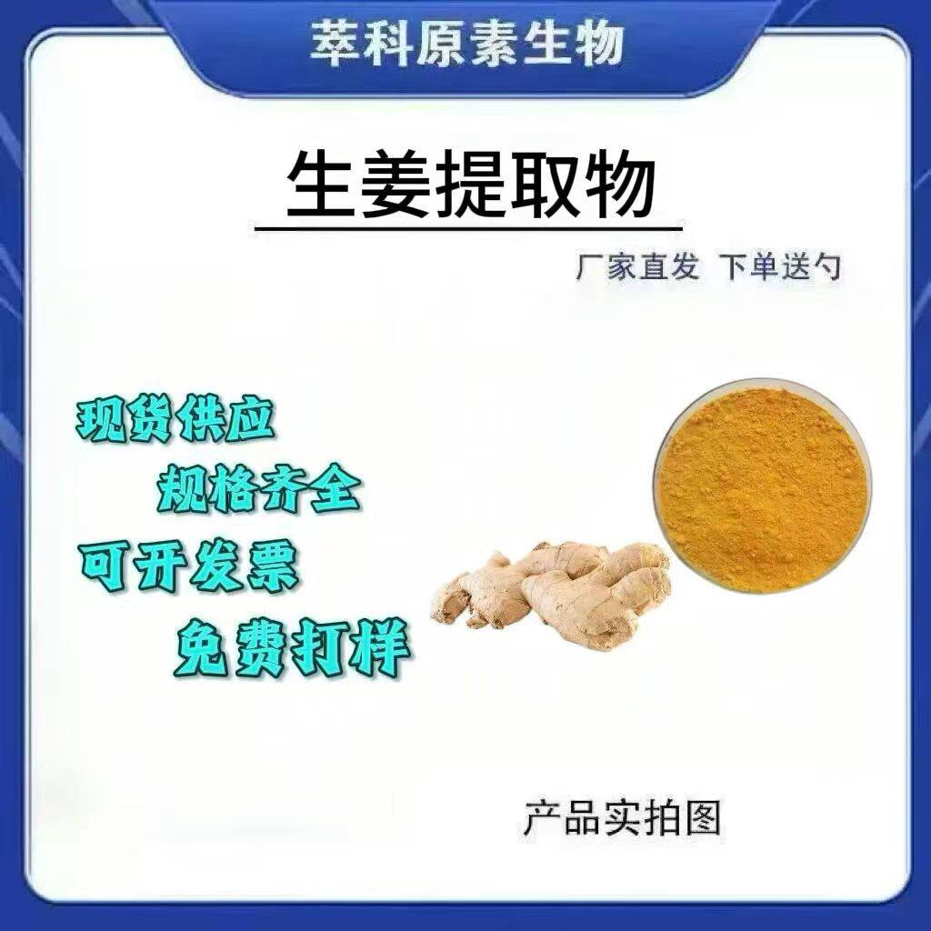 大量供应姜辣素10% 生姜提取物 水溶性生姜粉 另有5% 20%包邮