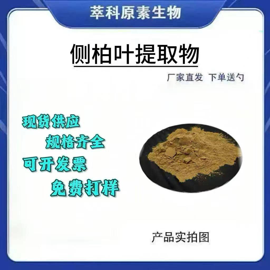 现货批发侧柏叶提取物 30:1侧柏叶粉 扁柏柏子树提取物水溶性原料