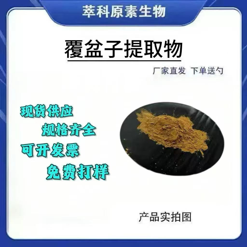 覆盆子提取物501浓缩粉