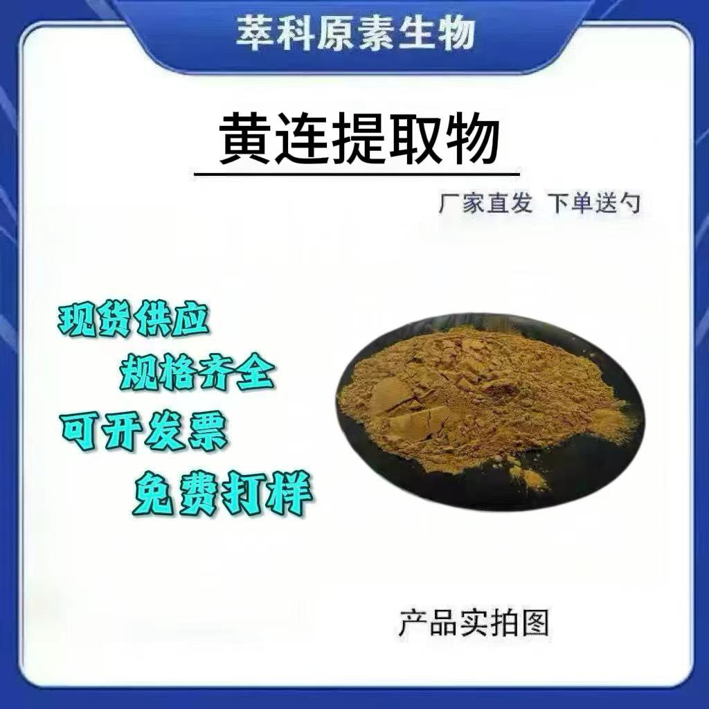 现货黄连提取物501浓缩粉