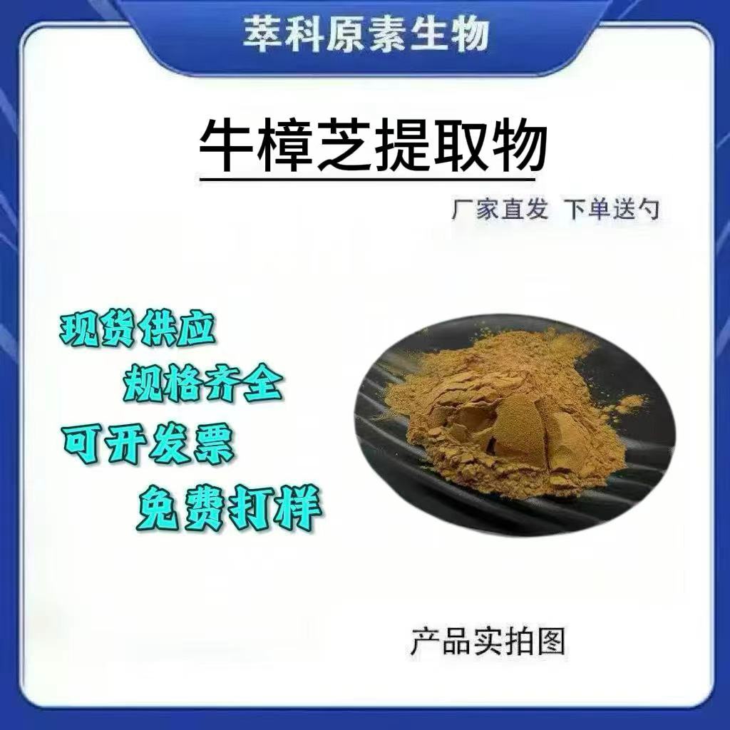 牛樟芝提取物501粉500g起订