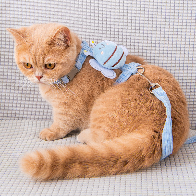 猫咪牵引绳防走丢工字型遛猫绳防挣脱夏外出专用幼猫兔子绳子用品,宠物/宠物食品及用品,猫牵引绳,淘宝优惠券,粉丝福利购,淘宝优惠卷