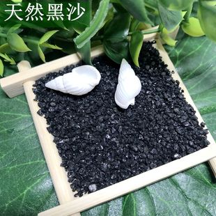 天然彩沙 粉沙绿沙子白石英砂 水晶沙 族鱼缸造景多肉铺面5斤包邮