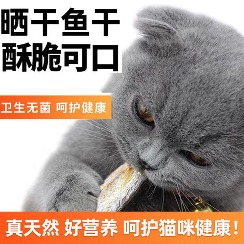 小鱼干猫零食冻干宠物磨牙淡水拌猫粮猫吃的小鱼干拌粮猫咪专用食