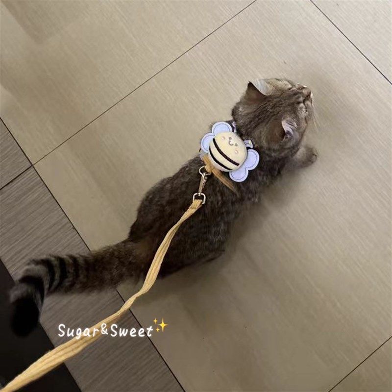 猫咪牵引绳胸围狗狗宠物出行遛猫绳防挣脱工字可调节金渐层幼小猫,宠物/宠物食品及用品,猫牵引绳,淘宝优惠券,粉丝福利购,淘宝优惠卷