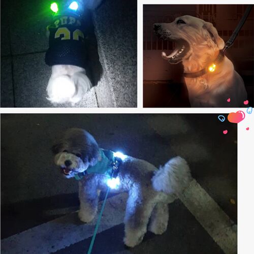 Laroo莱诺宠物LED狗狗发光吊坠泰迪夜光防走失丢灯狗牌夜间遛狗灯