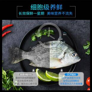 快霸瞬度冷冻保工台酒店冷藏柜海鲜超低温速作鲜冻柜零下-9214526