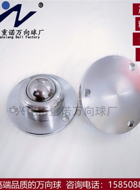 精密IA-19万向球 输送球 牛眼 滚珠法兰孔安装可做不锈钢WS-02