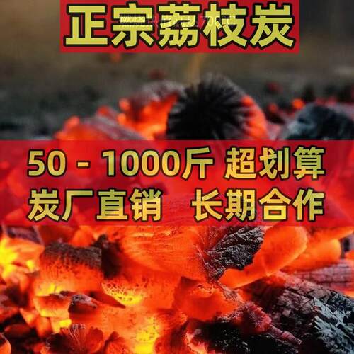 烧烤木炭环保木碳易燃高温木炭果木炭无烟烧烤炭耐烧无烟取暖