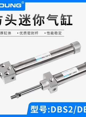 DBS2 X100方头不锈钢迷你气缸DBF2 X固定型不锈钢迷你气缸