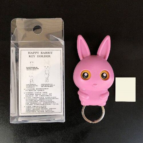 246PCS Wall Mounted Wall Key Holder Magnets Keychain Hook