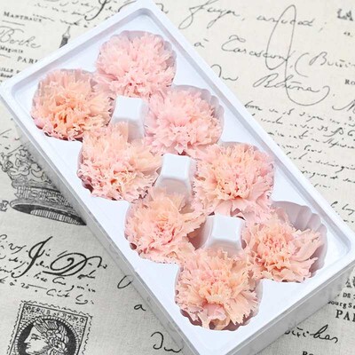 Magic Flower Eternal Flower Class B Carnation Whole Box  Flo