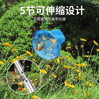 Scalable Childrens Fish Net for Catching Fish, Small Net fo