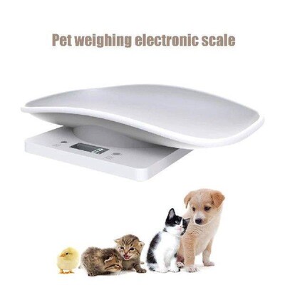 Small Animal Scale Multifunction Electronic Scale Grams