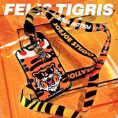 JoeJoe老虎地铁卡套公交车证件挂绳挂脖门禁饭卡学生校园卡新年潮