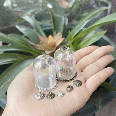 3/5/8/10X 38x25mm Rainbow Glass Flower/Toy Display Cloche