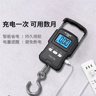 手提电子秤便携式小型弹簧高精度迷你家用食物秤快递称买菜称鱼器