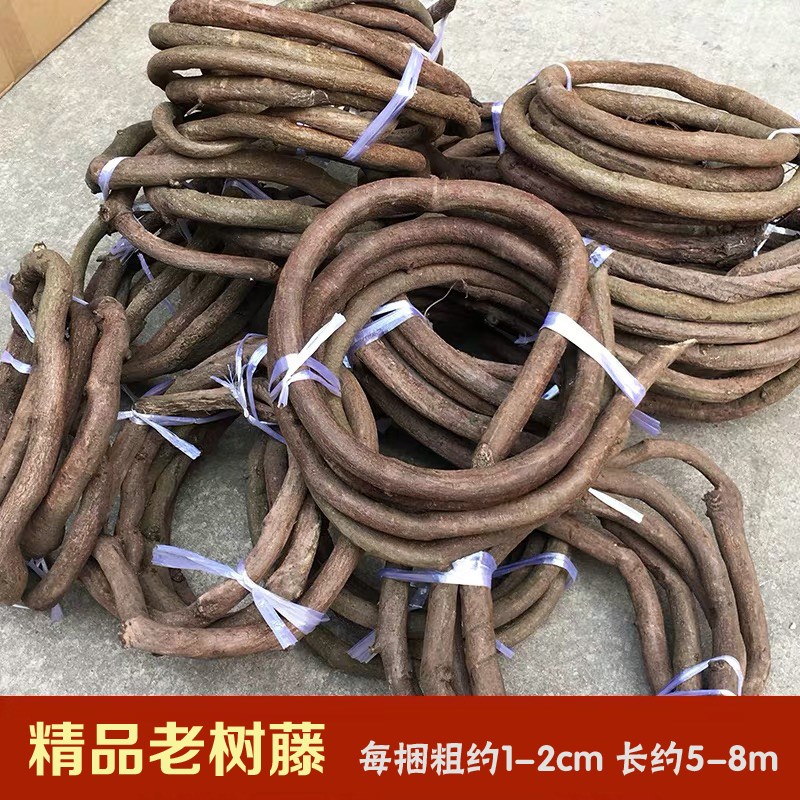 老树藤枯藤老山藤天然藤条玫瑰花藤花墙造景装饰材料吊花老藤树枝