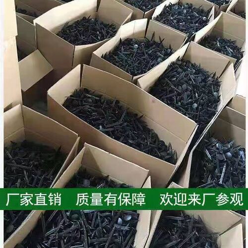 防草布地钉园艺盖草除草防草坚硬耐用