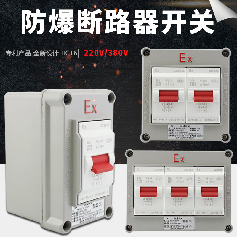 工业防爆断路器防爆空开380V220V金属单相三相明装断路器空气开关