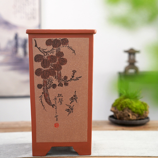 清香阁紫砂 双色平口四方花盆 悬崖桩高签筒盆景盆 室内大号兰花