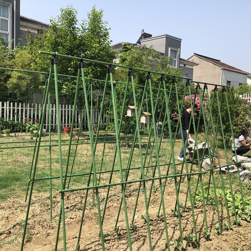 包塑钢管爬藤架庭院豆角瓜架支架  菜园植物支撑杆铁制田园风格花