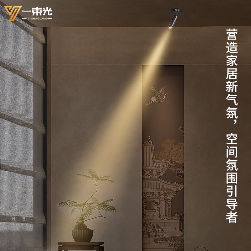 一束光聚光射灯智能明装客厅家用茶室摆件绿植字画餐厅玄关吸顶灯,家装灯饰光源,明装射灯,淘宝优惠券,粉丝福利购,淘宝优惠卷