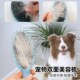 西施犬专用双面梳猪鬃毛梳按摩针梳狗梳子宠物美容梳除毛刷用品