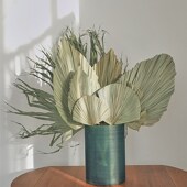 蒲扇叶棕榈叶天然干燥花森系自然干树叶葵扇叶墙面背景布置装 饰大