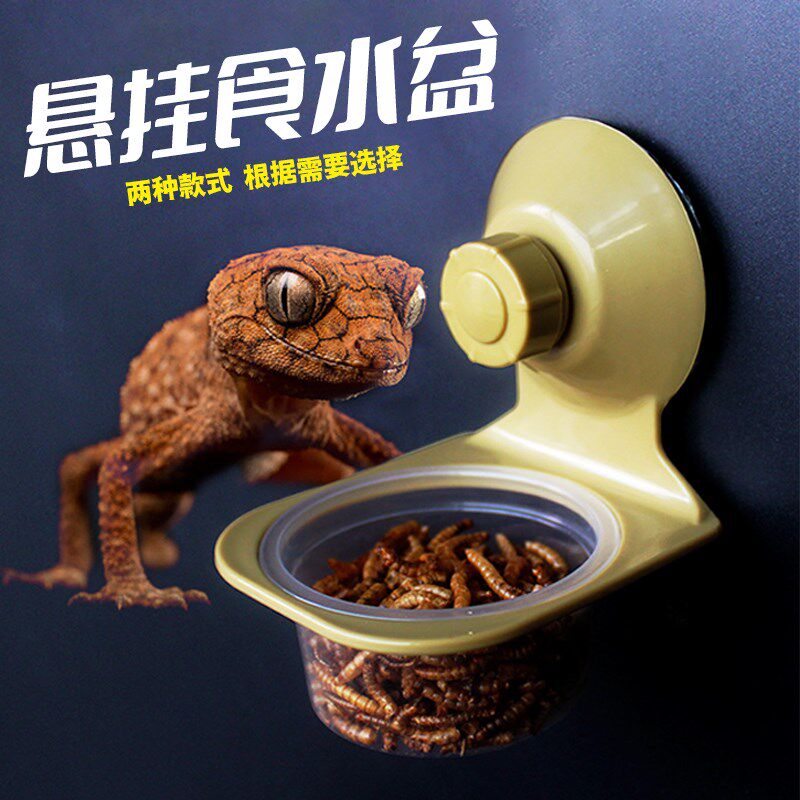 爬宠悬挂食水盆单双盆爬虫守宫树睫角盖勾亚蛙蜥蜴吸盘式食盆水碗