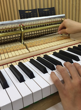成都钢琴调音 钢琴调律维修 调音师调琴师 修理钢琴 调琴上门服务