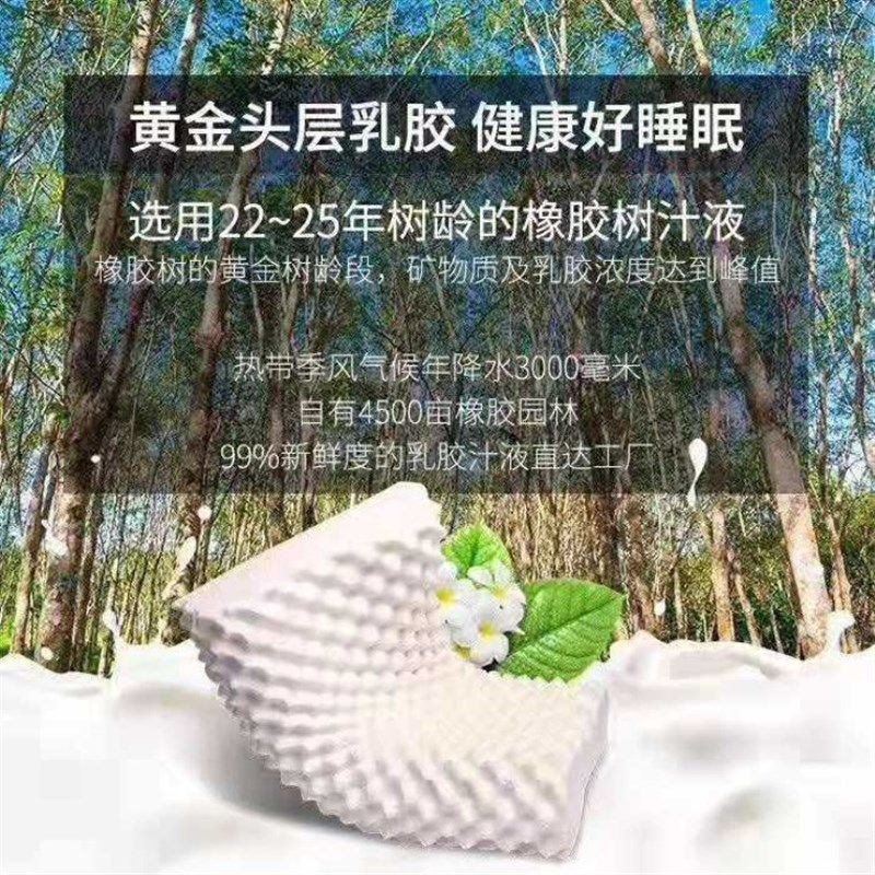 泰国V牌乳胶枕保健枕芯乳胶枕头护颈椎成人按摩枕单人礼品枕优品