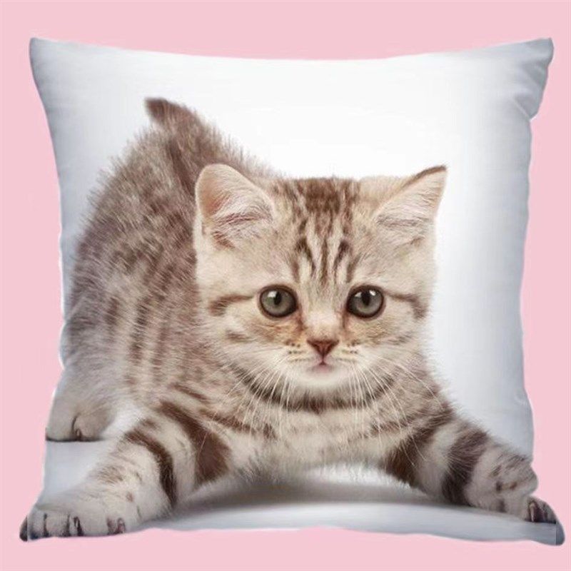 可爱小猫咪抱枕双面定制萌宠物动物靠枕垫头沙发客厅汽车呆萌午睡,居家布艺,靠垫/抱枕,淘宝优惠券,粉丝福利购,淘宝优惠卷