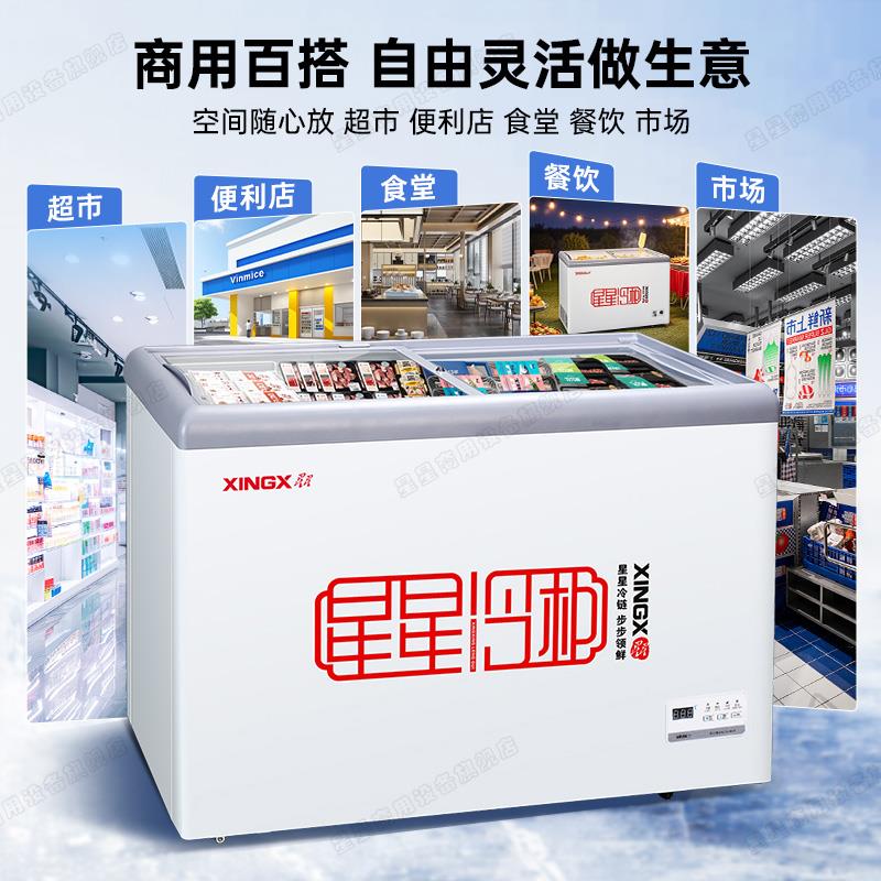 星星冰柜商用小型183/253BE冷藏冷冻可换保鲜柜雪糕柜玻璃展示柜