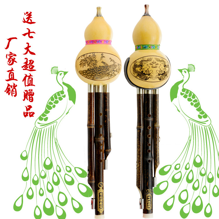 云南葫芦丝乐器初学成人演奏防摔型三音可拆C调/降B调包邮送皮盒