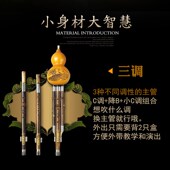 云新双调组合葫芦丝专业演奏型降b调c调小学生专用初学者吹奏乐器