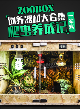 爬虫饲养箱陆龟OSB木箱刺猬蜥蜴蛇宠物爬宠保温箱子玻璃宠物箱