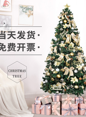 圣诞树家用加密1.5米发光套餐圣诞节装饰摆件绿色大型1.8/2.1米