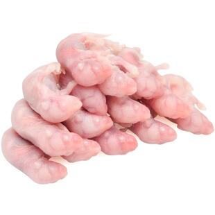 无菌活乳鼠小白鼠活幼鼠喂猫红粉皮鬃狮角蛙鳄龟饲料老鼠蜥蜴食物
