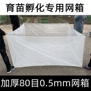 新款养鱼箱网养殖网箱专用加厚80目水蛭水花鱼苗黄鳝泥鳅孵化育苗