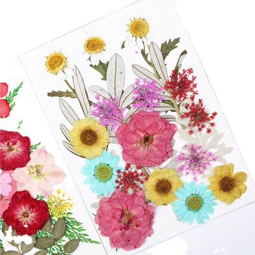Dried Flower Embossed Combination Package Real Flower Emboss
