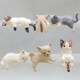 Ornaments Miniature Kitten Figurines Gifts Kawaii Model Cat