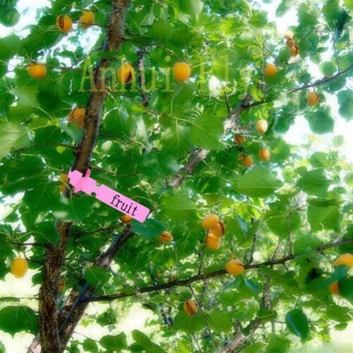 Garden Plant Labels Plaic Durable Waterproof Nursery Garde