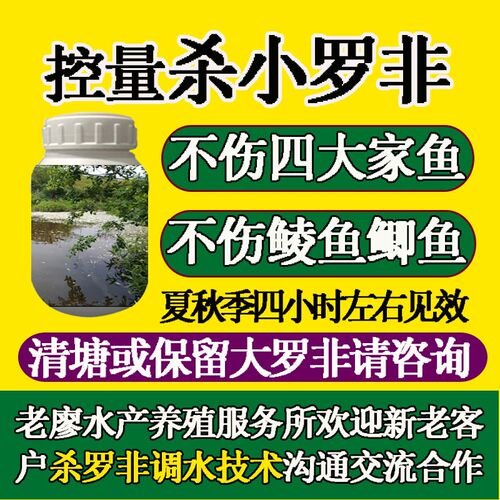 专杀罗非鱼药杀小罗非清罗非速杀罗飞仔罗非克星鱼塘钓场杀小罗非
