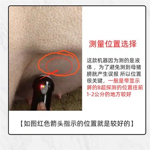 兽用超机语音B超母猪测孕仪器猪比超机超声波怀孕彩超检孕养殖